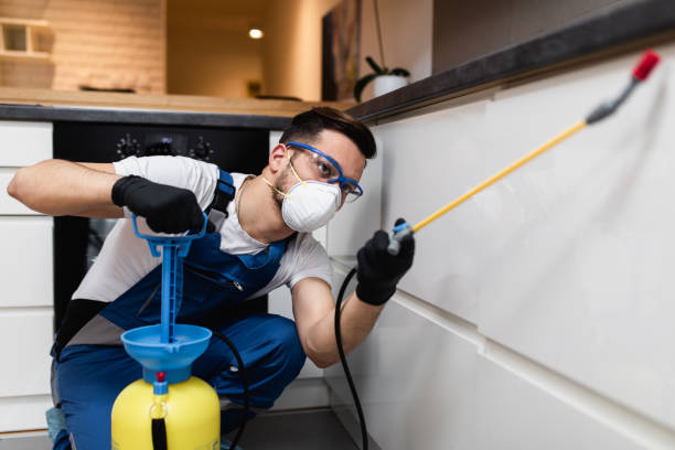 Best Cockroach Control Services  in West Cape May, NJ