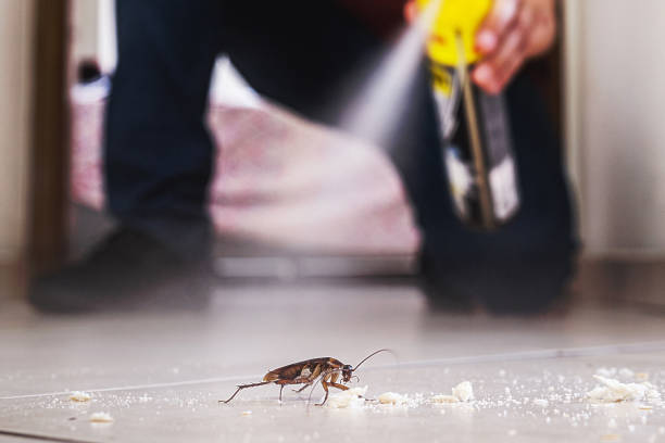 Best Mosquito Control Services  in West Cape May, NJ